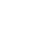 Conference Visa